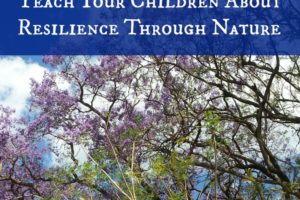 Learning About Resilience Through Nature