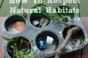 Learning About Respecting Natural Habitats: Simple Activity for Preschoolers