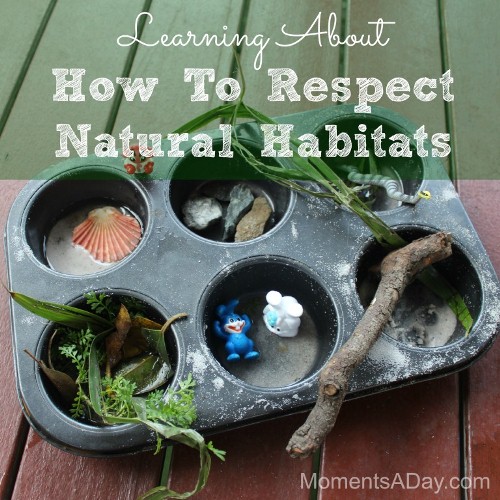 Learning About Respecting Natural Habitats: Simple Activity for Preschoolers  - Moments A Day