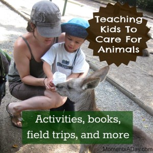 Teaching Kids To Care For Animals - Moments A Day Teaching Kids To Care For Animals - Moments A Day