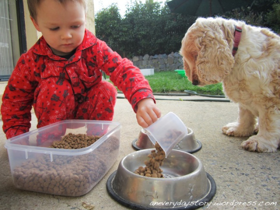 Teaching Kids To Care For Animals - Moments A Day