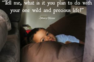 My One Wild And Precious Life: Reflections of a Stay At Home Mom