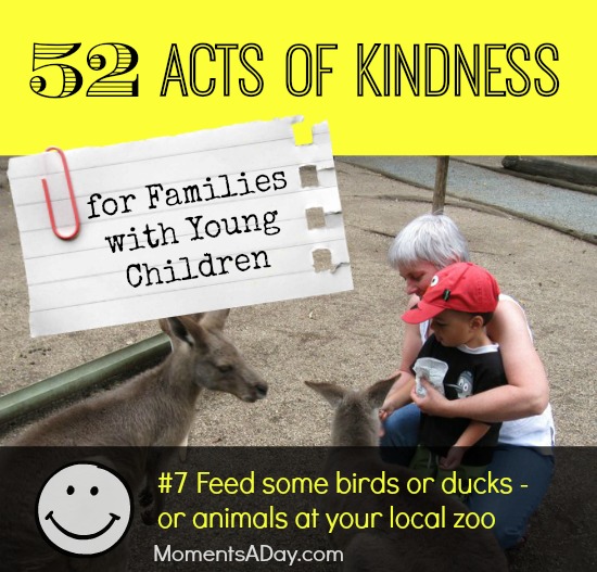 52 Acts of Kindness - #7 Feed some birds or ducks - or animals at your local zoo