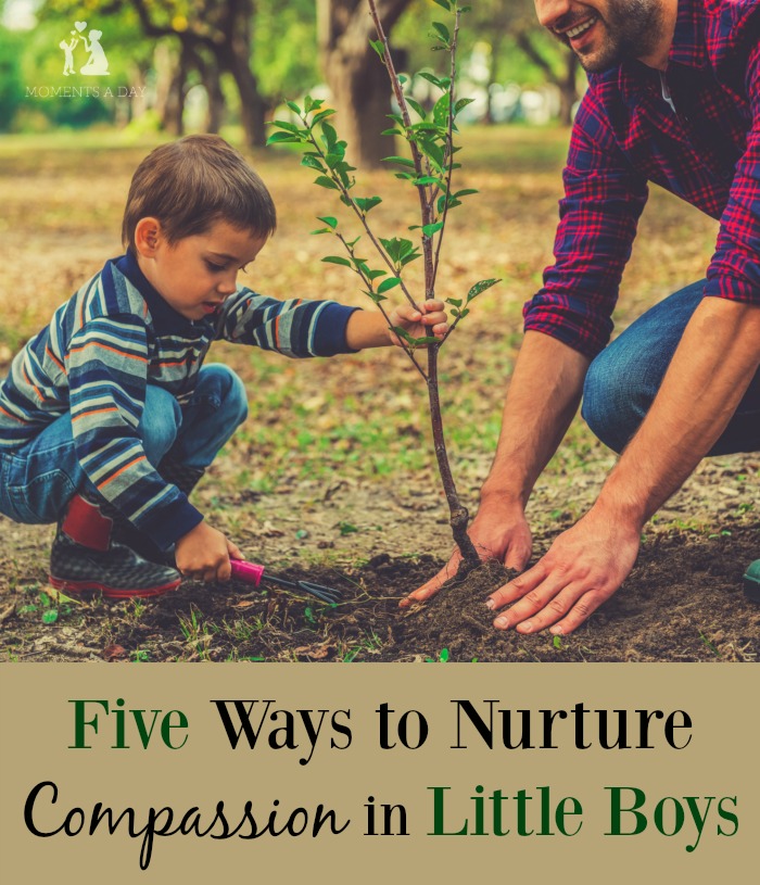 Tips and suggestions for practical ways to raise compassionate sons