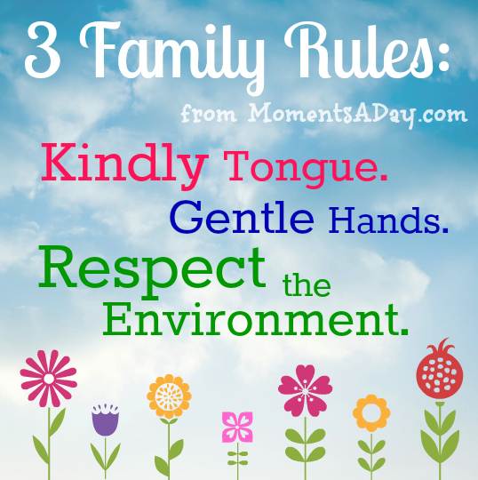 How to create family rules that work