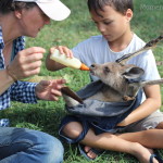 Why you should take your kids to a farm and what they will learn from the experience