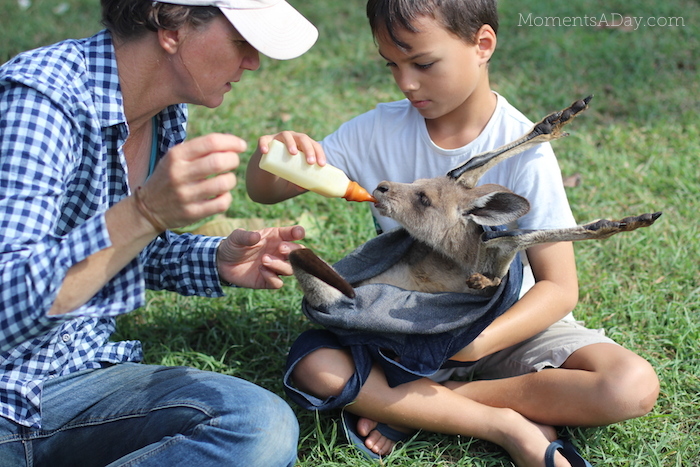 Why you should take your kids to a farm and what they will learn from the experience