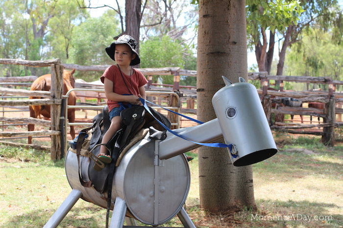 Why you should take your kids to a farm and what they will learn from the experience