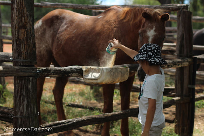 Why you should take your kids to a farm and what they will learn from the experience