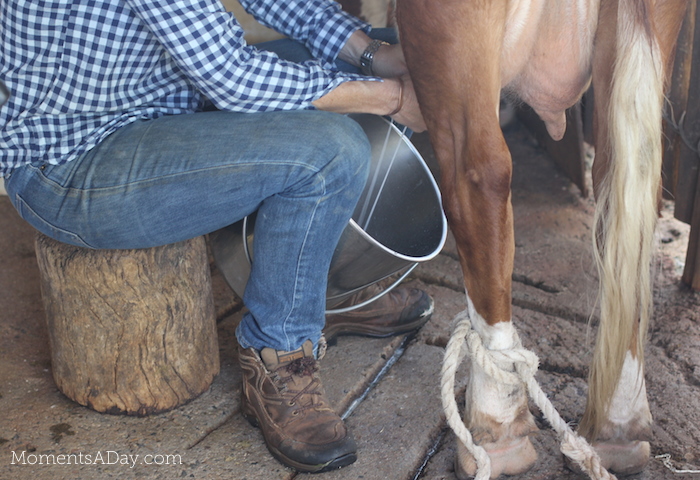 Why you should take your kids to a farm and what they will learn from the experience