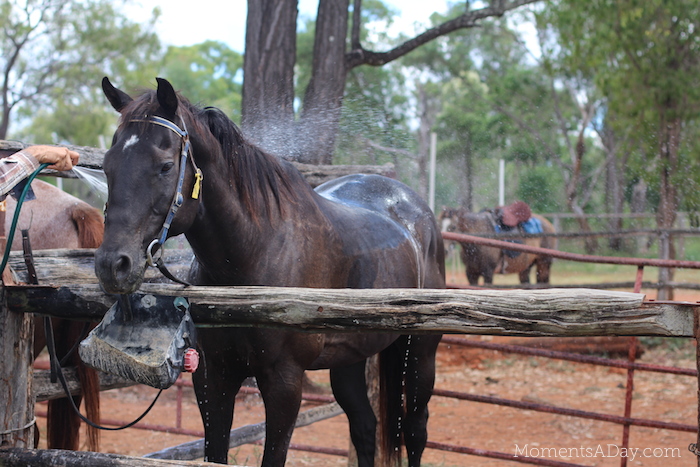 Why you should take your kids to a farm and what they will learn from the experience