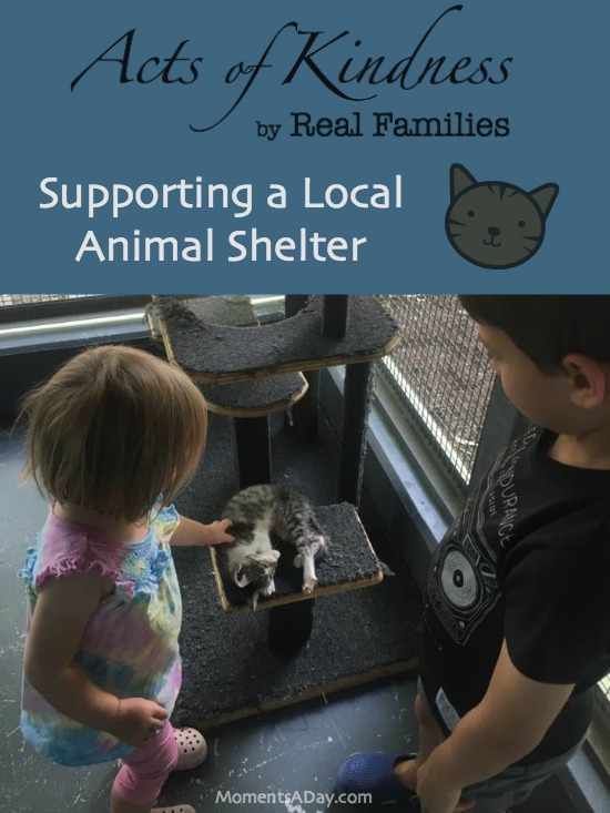 A series of acts of kindness by real families this entry featuring a family supporting a local animal shelter