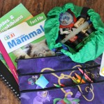 What to pack in a kids travel bag