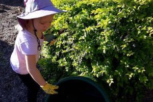 6 Ways Gardening Can Benefit Children